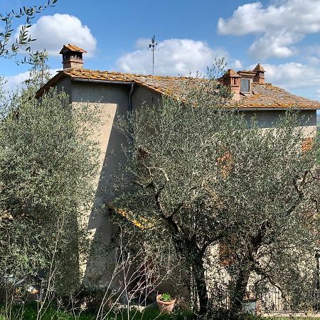 Tranquillita E Relax Vicino A Siena Villa Rosia Eksteriør billede