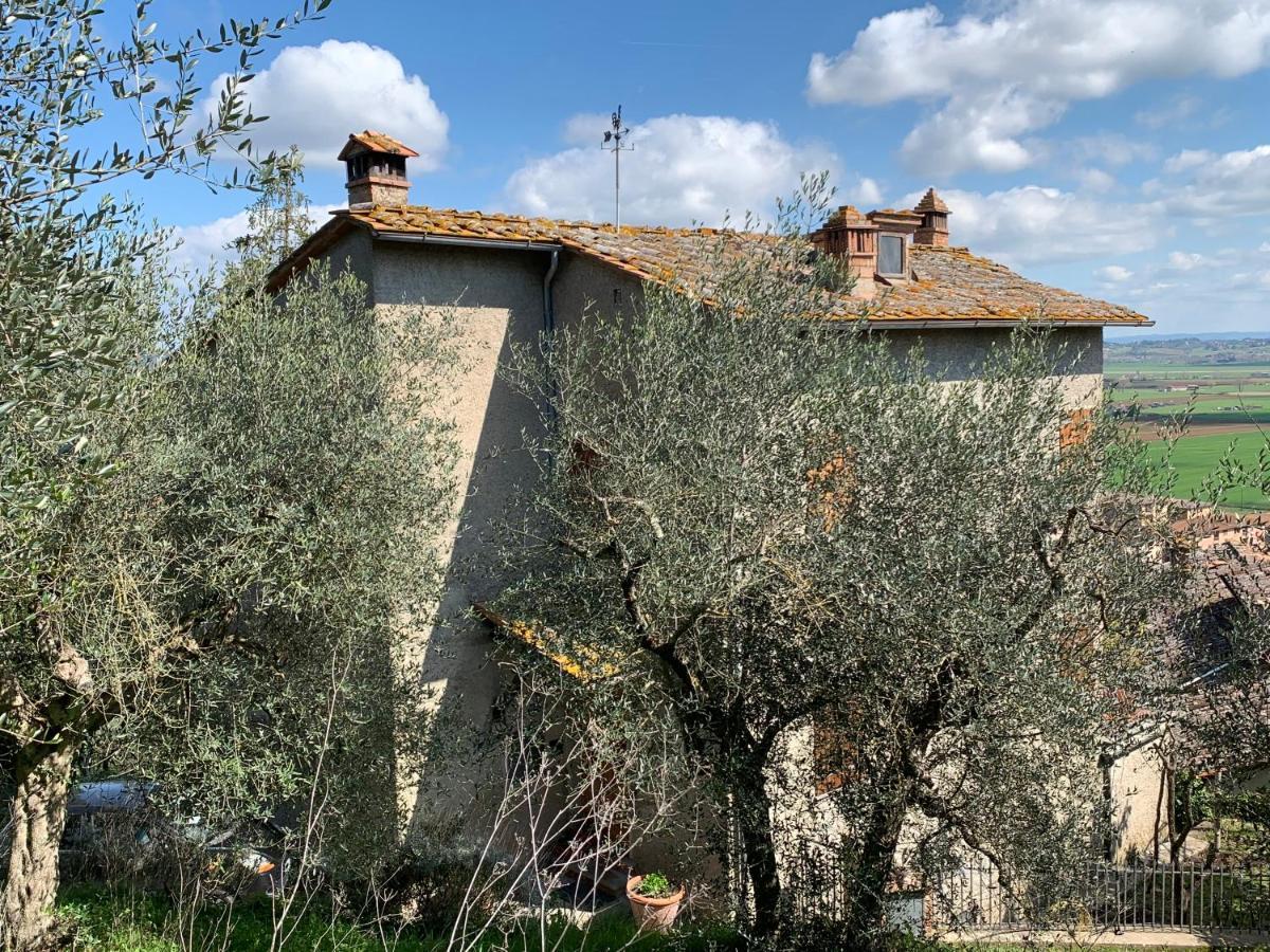 Tranquillita E Relax Vicino A Siena Villa Rosia Eksteriør billede